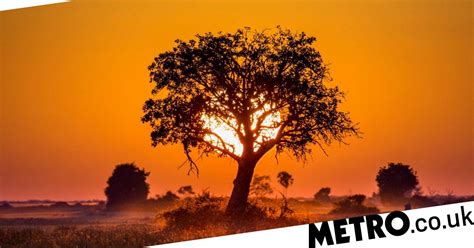 Ancestral Homeland Of Earliest Human Ancestors Traced To Botswana