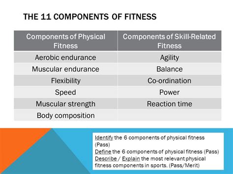 Ppt Skill Related Components Of Physical Fitness Powerpoint 59 Off