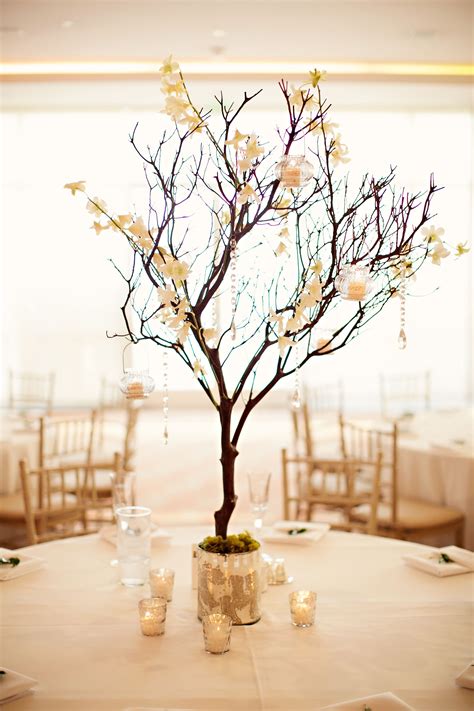 25 Best Manzanita Tree Centerpiece Vishing Tree Ideas Manzanita Tree