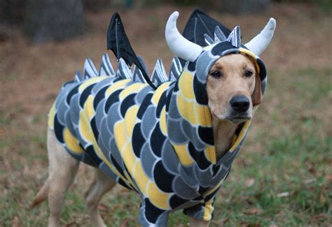 Dog Halloween Costume Idea Dragon Dog Dragon Costume Dog Halloween