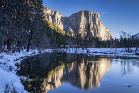 El Capitan Reflecting In Merced River In Winter Yosemite National Park