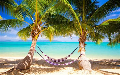 Wallpaper Sea Sand Beach Palm Trees Lagoon Caribbean Hammocks Vacation Tree Ocean