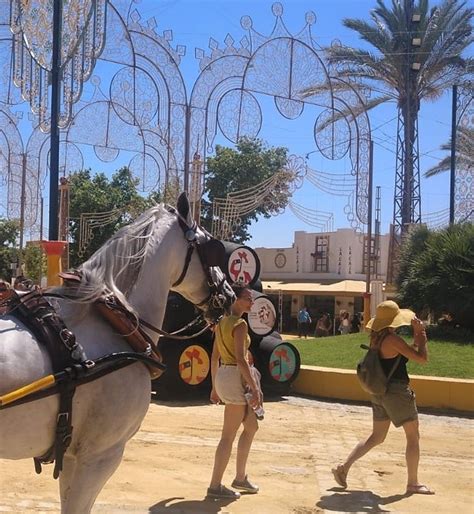 Jerez Cádiz Aplaza Su Feria Del Caballo Y La Traslada A Octubre