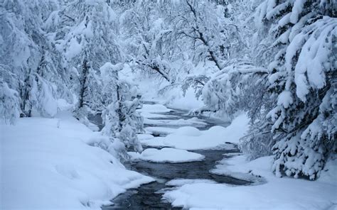 Winter River Snow Trees Best Hd Desktop Wallpaper
