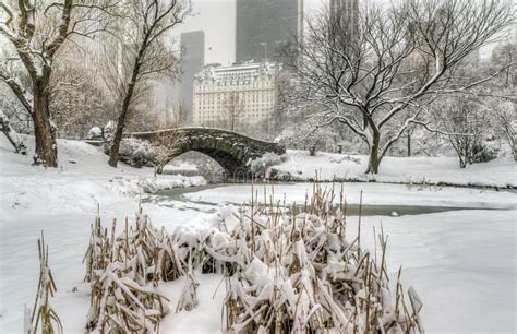 Winter Storm Central Park New York City Stock Image Image Of Frozen