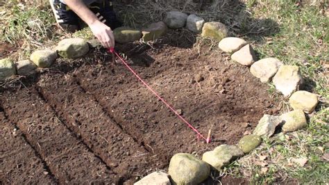 How to do a small vegetable garden. Planting Vegetables - How to Plant a Small Vegetable ...