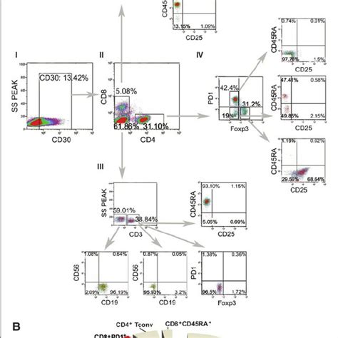 Cd30 Expression In Different T Cell Subsets In Metastatic Lymph Nodes