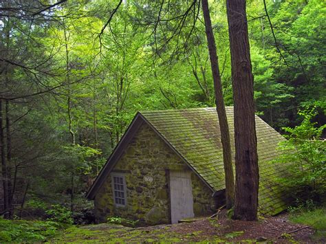 Free Images Tree Nature Wilderness Wood Trail Hut Shack Green