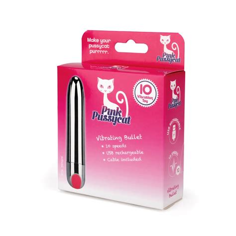 Pink Pussycat Vibrating Silver Bullet Sex Toy Store For Adults
