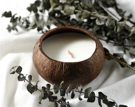 Eco Candle In A Coconut Shell Natural Soy Wax Eco Friendly Etsy Uk