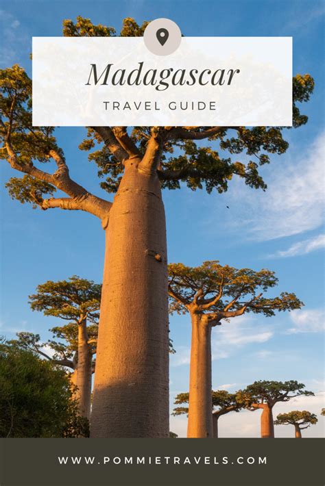 Madagascar Travel Guide Planning A Trip To Madagascar Epic Guide