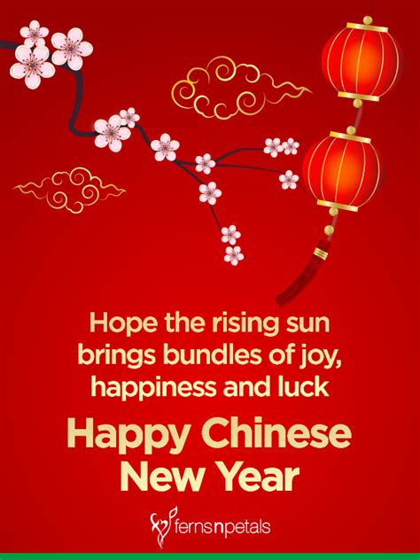 Chinese New Year Quotes 2023 Cny Wishes And Messages Fnp Sg
