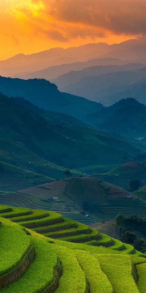 Rice Farms Landscape Horizon Mountains Philippines 1080x2160