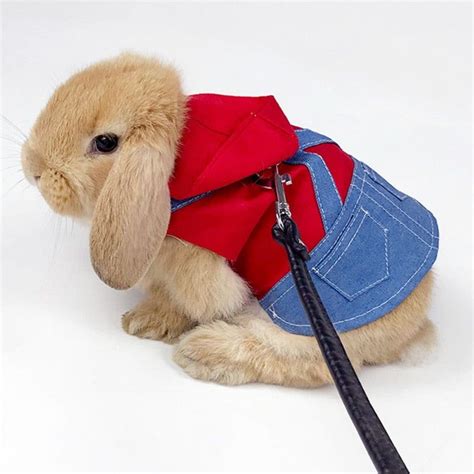 Pet Rabbit Clothes Denim Jacket Coat Small Animal Harness Leash Vest