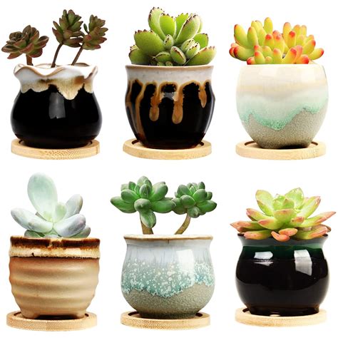 Buy Brajttt 25 Inch Ceramic Succulent Planter Pot With Drainage