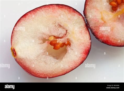 Fleshy Fruit Hi Res Stock Photography And Images Alamy