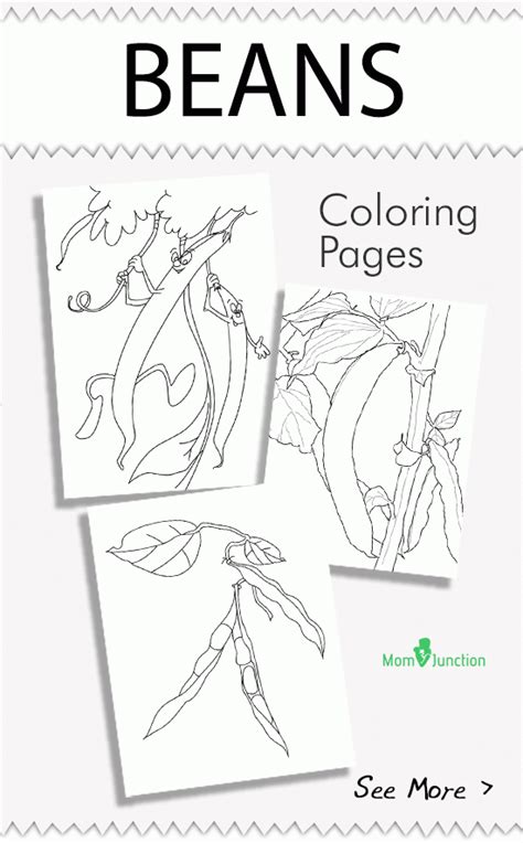 Plant coloring pages piranha lima bean seed free printable parts of. Green Beans Coloring Page, Free - Coloring Home