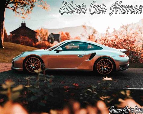 780 Silver Car Names Best Guide