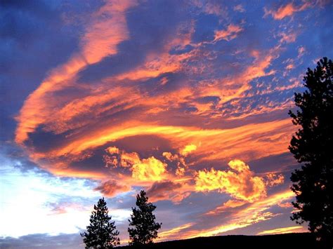 Sunset Extravaganza Photograph By Will Borden Fine Art America