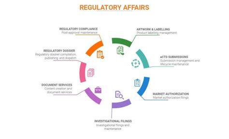 Regulatory Affairs Service Provider Ectd Publishing Submission Dossier