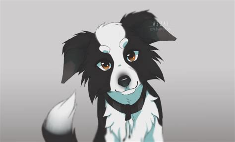 Border Collie By Azzai On Deviantart Dog Drawing Border Collie Art