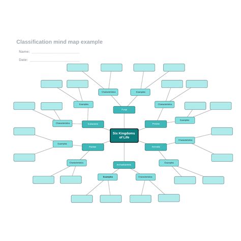 Classification Mind Map Example Lucidchart