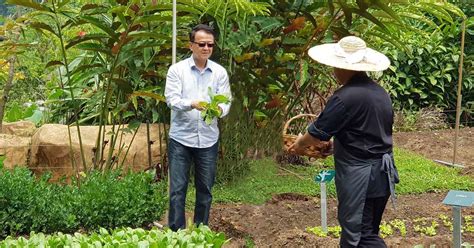 Tby talks to tan sri dato' dr. Fresh Produce Straight from The Banjaran's Organic Gardens ...