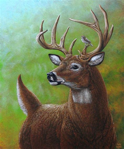 Deer And Sparrow By Cara Bevan Deer Painting Animal Paintings Deer