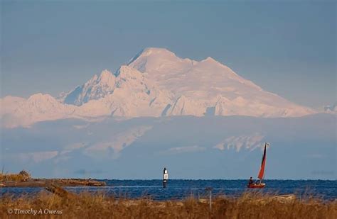 Make Your Destination Sequim Wa And Enjoy The View Of Mount Baker