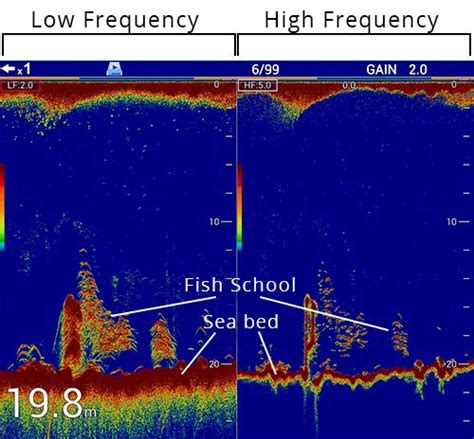 How To Read A Depth Fish Finder Wagaman Gloold