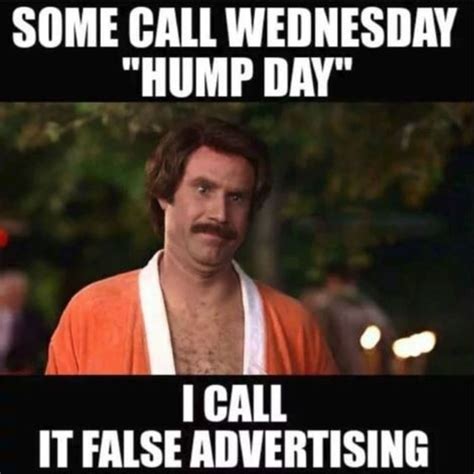 Funny Hump Day Memes To Celebrate Wednesday Lola Lambchops