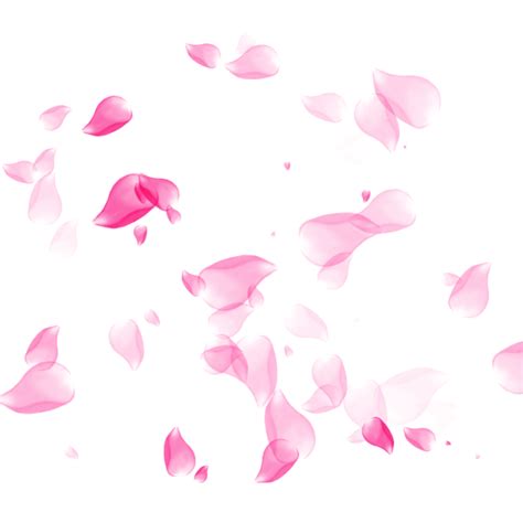 Pink Flower Petals Transparent Background Png Play