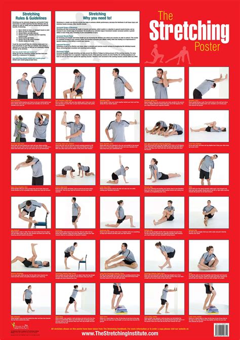 The Stretching Poster Post Workout Stretches Body Stretches Full