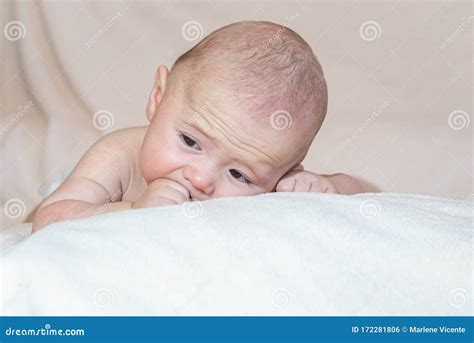 Face Portrait Of A Beautiful Baby Boy Without Hair Stock Photo Image