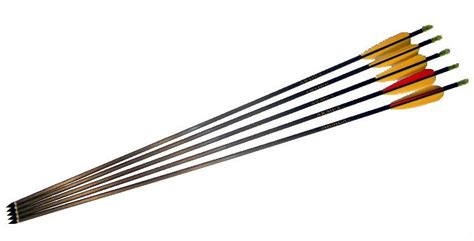 Professional Accurate Carbon Arrows For Archery Recurve Bows At Rs 700