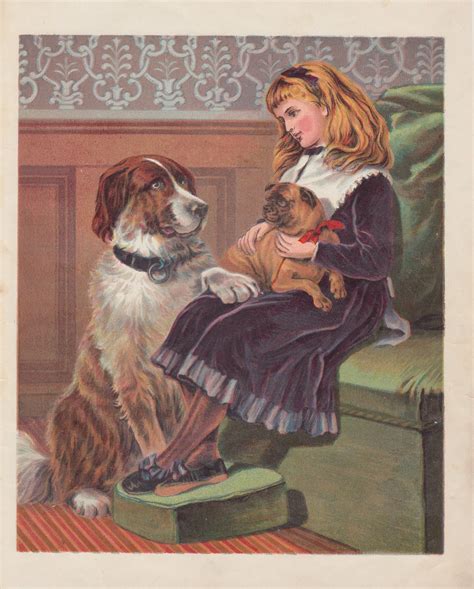Victorian Girl With Newfoundland Dog Saint Bernard Dog And Pug Dog Pets