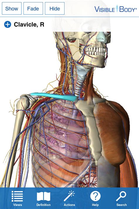 Visible Body for iPhone 4/4S 3D Human Anatomy Atlas bei Argosy Publishing