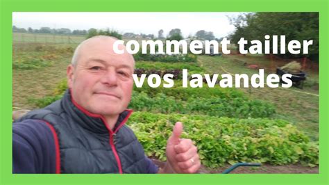 Comment Tailler Vos Lavandes Comment Faire Grossir Vos Salades D Hiver Youtube