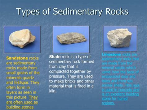Sedimentary Rock Identification