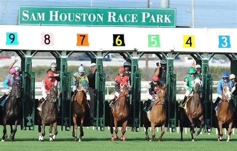 Texas Preview Day Five Stakes Races Set For Saturdays Card At Sam
