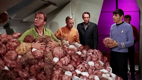 Study How Long Would It Really Take For Tribbles To Fill Star Treks U