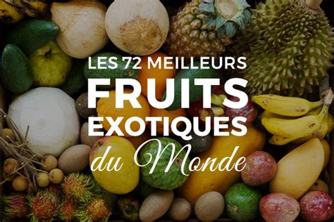 Fruits Exotiques Les 72 Meilleurs Du Monde Jurassic Fruit