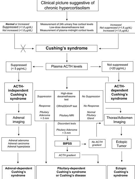 Cushings Syndrome Endocrinology And Metabolism Clinics