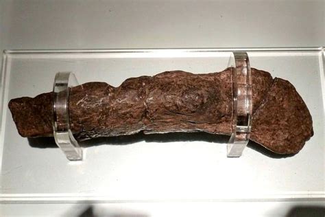 英国科学家公布有1200年历史最大人类粪便化石 知乎