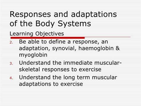 Lesson 13 Responses And Adaptations Of The Body Systems