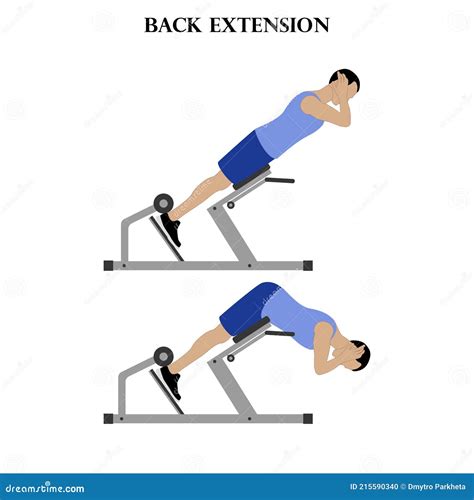 Back Extension Exercise Strength Workout Vector Illustration Stock