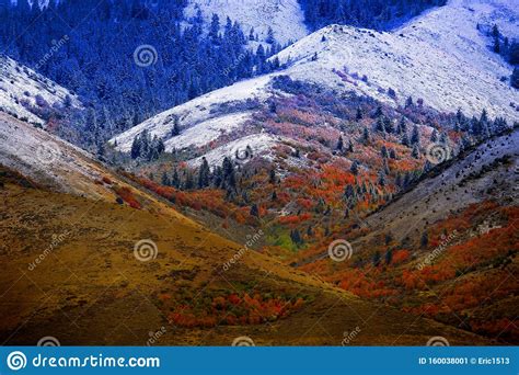 Mountain Landscape In Late Fall With Autumn Colors And First Snow Stock Image Image Of Foliage