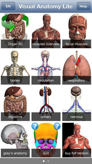 The human body is made up of more than 600 muscles that allow for movement. 98 best CLIL Science images on Pinterest | Science activities, Science resources and Teaching ...