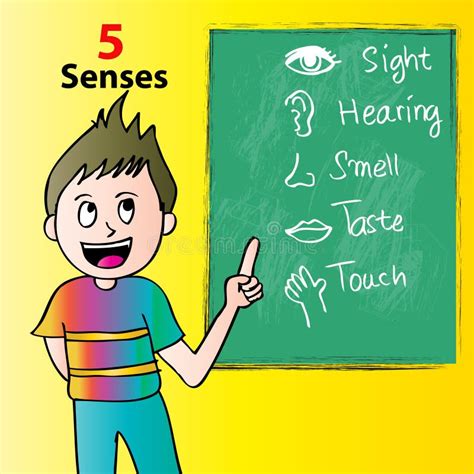 Boy With Five Senses Icon Stock Illustration Illustration Of