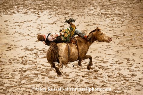 Bareback Rider At Miles City Bucking Horse Sale In Montana Allen